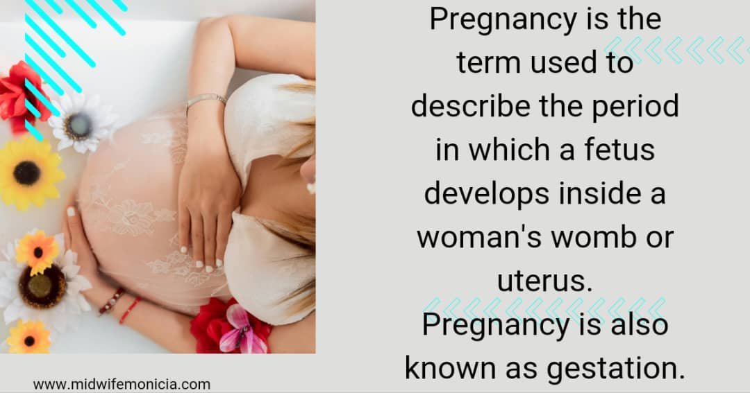 Pregnancy